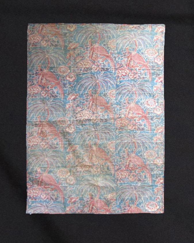 F172 Bird of Paradise fragment