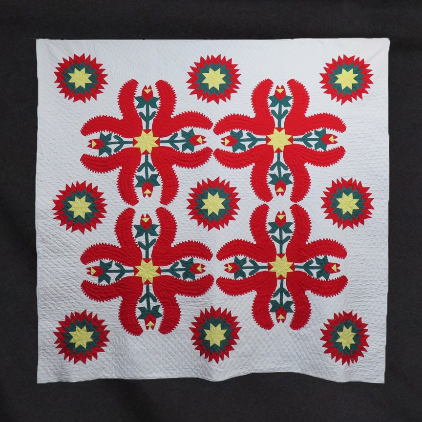 Q8514 Folk Art Prince’s Feather